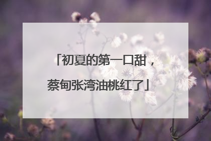 初夏的第一口甜，蔡甸张湾油桃红了