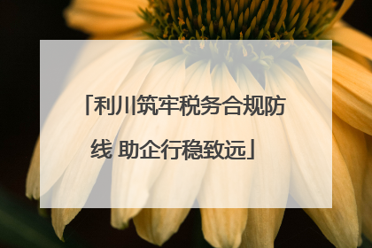 利川筑牢税务合规防线 助企行稳致远