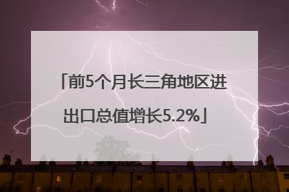 前5个月长三角地区进出口总值增长5.2%