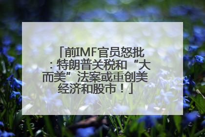 前IMF官员怒批：特朗普关税和“大而美”法案或重创美经济和股市！