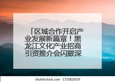 区域合作开启产业发展新篇章！黑龙江文化产业招商引资推介会闪耀深圳文博会