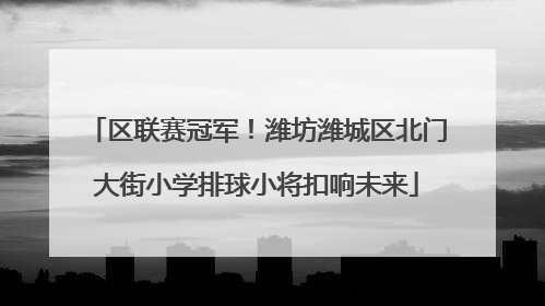 区联赛冠军！潍坊潍城区北门大街小学排球小将扣响未来