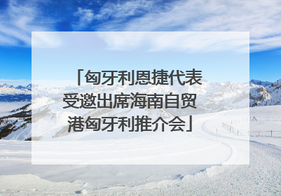 匈牙利恩捷代表受邀出席海南自贸港匈牙利推介会
