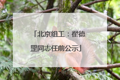北京组工：翟德罡同志任前公示