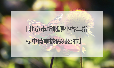 北京市新能源小客车指标申请审核情况公布