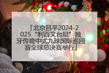 北京昌平2024-2025“利百文台尼”独牙传奇中式九球国际巡回赛全球总决赛举行