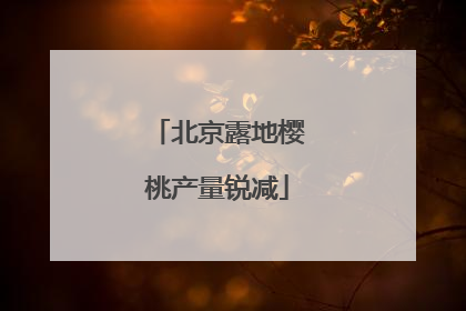 北京露地樱桃产量锐减
