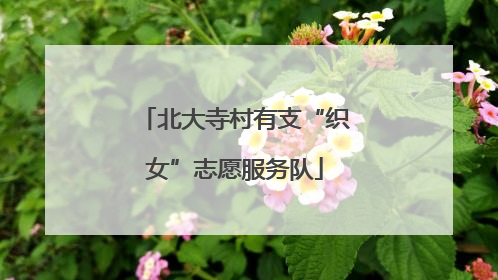 北大寺村有支“织女”志愿服务队