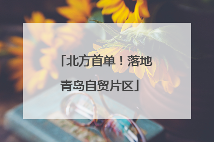北方首单！落地青岛自贸片区