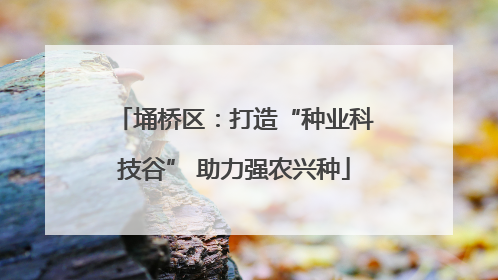 埇桥区：打造“种业科技谷” 助力强农兴种