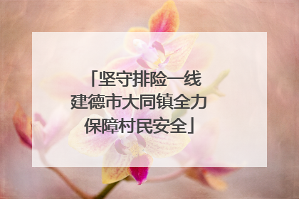 坚守排险一线 建德市大同镇全力保障村民安全