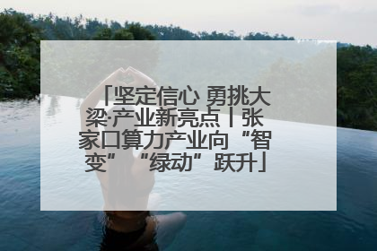 坚定信心 勇挑大梁·产业新亮点丨张家口算力产业向“智变”“绿动”跃升