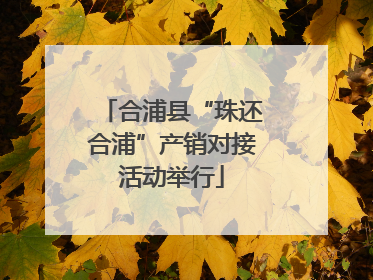 合浦县“珠还合浦”产销对接活动举行