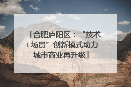 合肥庐阳区：“技术+场景”创新模式助力城市商业再升级