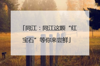 同江：同江这颗“红宝石”等你来尝鲜