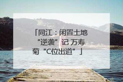 同江：闲置土地“逆袭”记 万寿菊“C位出道”