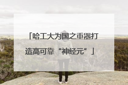 哈工大为国之重器打造高可靠“神经元”