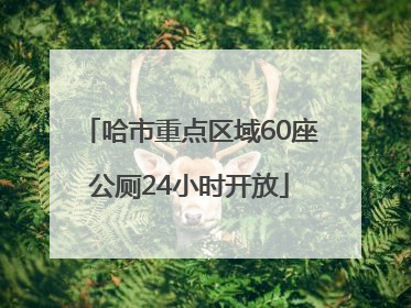 哈市重点区域60座公厕24小时开放