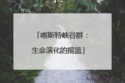 喀斯特峡谷群：生命演化的摇篮