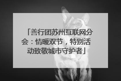 善行团苏州互联网分会：情暖双节，特别活动致敬城市守护者
