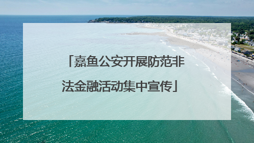 嘉鱼公安开展防范非法金融活动集中宣传
