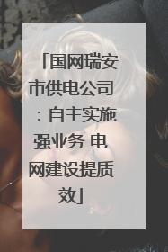 国网瑞安市供电公司：自主实施强业务 电网建设提质效