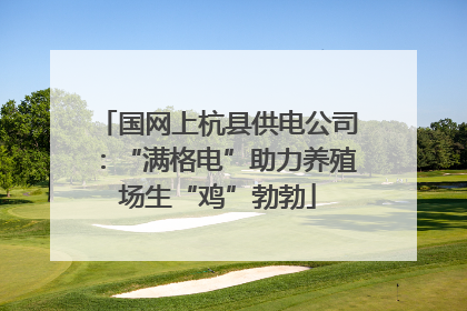 国网上杭县供电公司：“满格电”助力养殖场生“鸡”勃勃