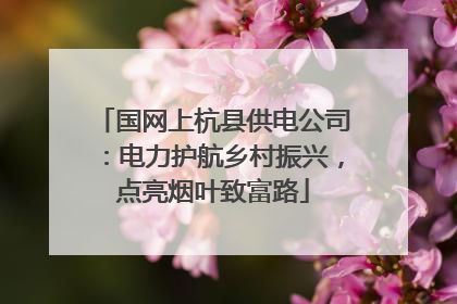 国网上杭县供电公司：电力护航乡村振兴，点亮烟叶致富路