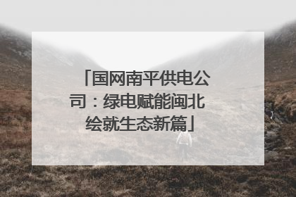 国网南平供电公司：绿电赋能闽北 绘就生态新篇