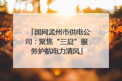国网孟州市供电公司：聚焦“三夏”服务护航电力清风