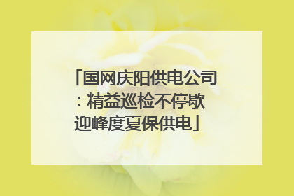国网庆阳供电公司：精益巡检不停歇 迎峰度夏保供电