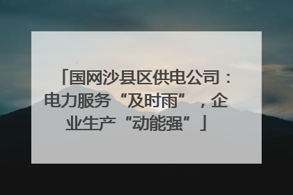 国网沙县区供电公司：电力服务“及时雨”，企业生产“动能强”