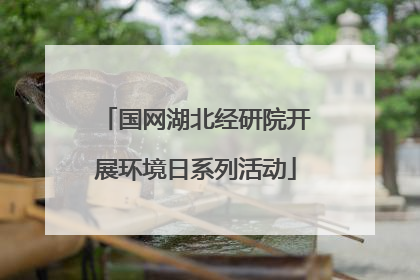 国网湖北经研院开展环境日系列活动