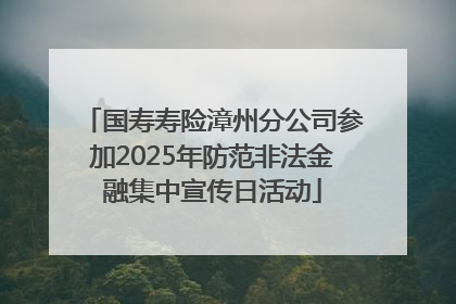 国寿寿险漳州分公司参加2025年防范非法金融集中宣传日活动
