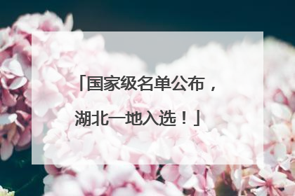 国家级名单公布，湖北一地入选！