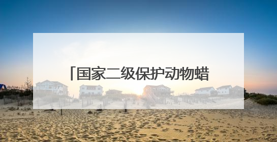 国家二级保护动物蜡皮蜥再现广西野外