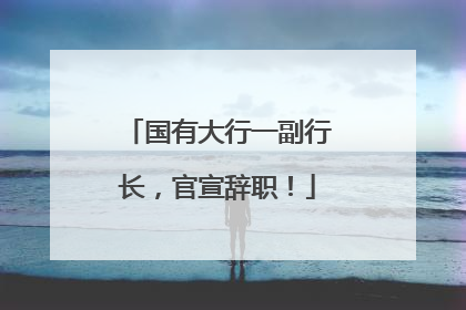 国有大行一副行长，官宣辞职！