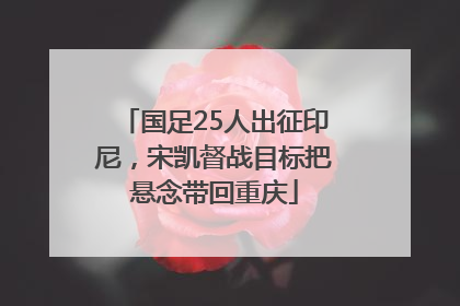 国足25人出征印尼，宋凯督战目标把悬念带回重庆