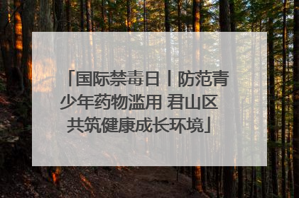 国际禁毒日丨防范青少年药物滥用 君山区共筑健康成长环境