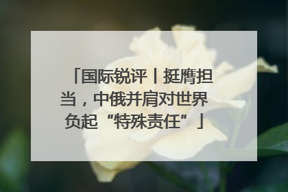 国际锐评丨挺膺担当，中俄并肩对世界负起“特殊责任”