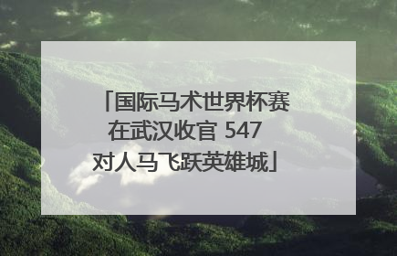 国际马术世界杯赛在武汉收官 547对人马飞跃英雄城