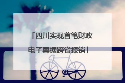 四川实现首笔财政电子票据跨省报销