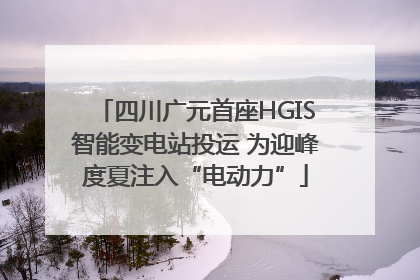 四川广元首座HGIS智能变电站投运 为迎峰度夏注入“电动力”