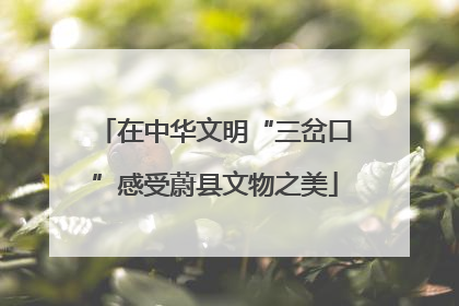 在中华文明“三岔口”感受蔚县文物之美