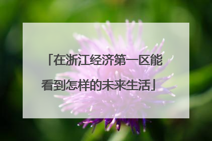 在浙江经济第一区能看到怎样的未来生活