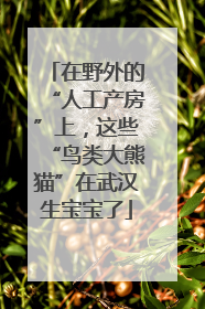 在野外的“人工产房”上，这些“鸟类大熊猫”在武汉生宝宝了