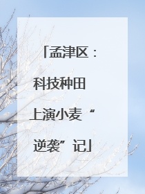 孟津区：科技种田 上演小麦“逆袭”记