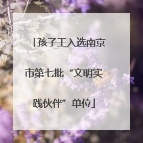 孩子王入选南京市第七批“文明实践伙伴”单位