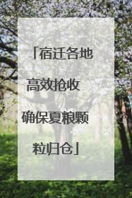 宿迁各地高效抢收 确保夏粮颗粒归仓