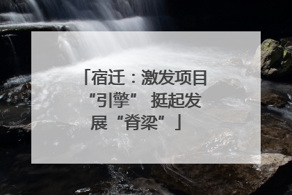 宿迁：激发项目“引擎” 挺起发展“脊梁”